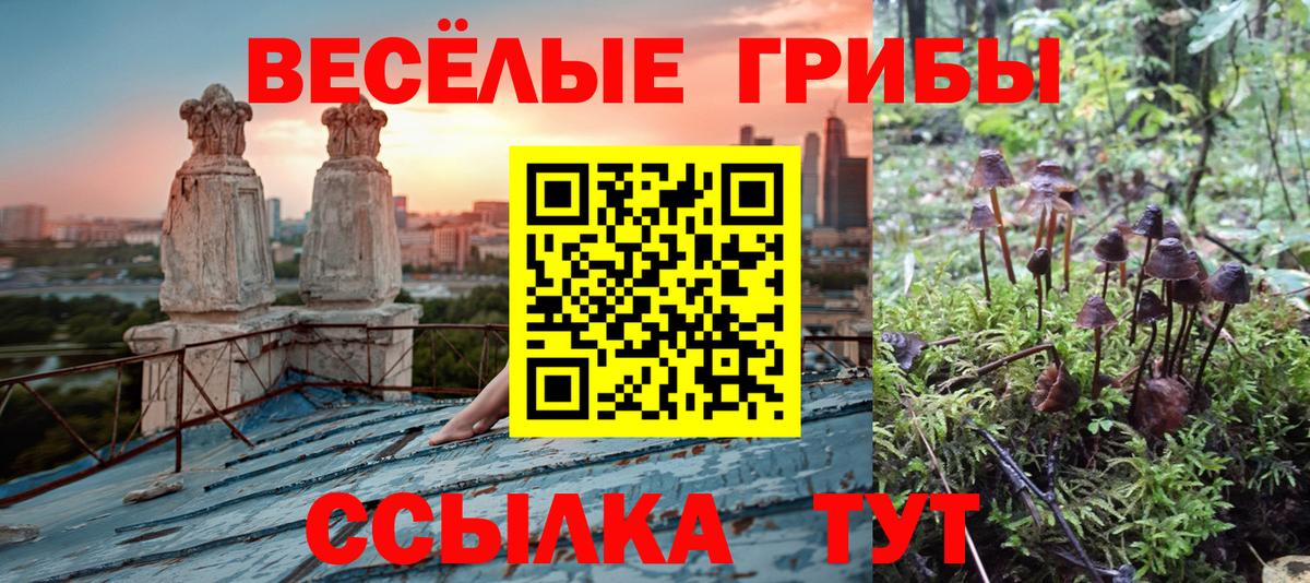 Галлюциногенные грибы мицелий  дарнет шоп  Северск  Вход с VPN  Галлюциногенные грибы мицелий 