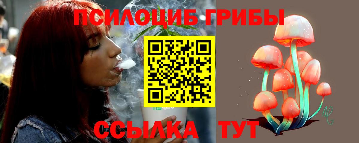 Псилоцибиновые грибы Magic Shrooms Северск